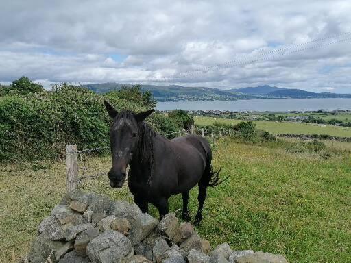 Carlingford Mountain And Sea Views Apartman Kültér fotó