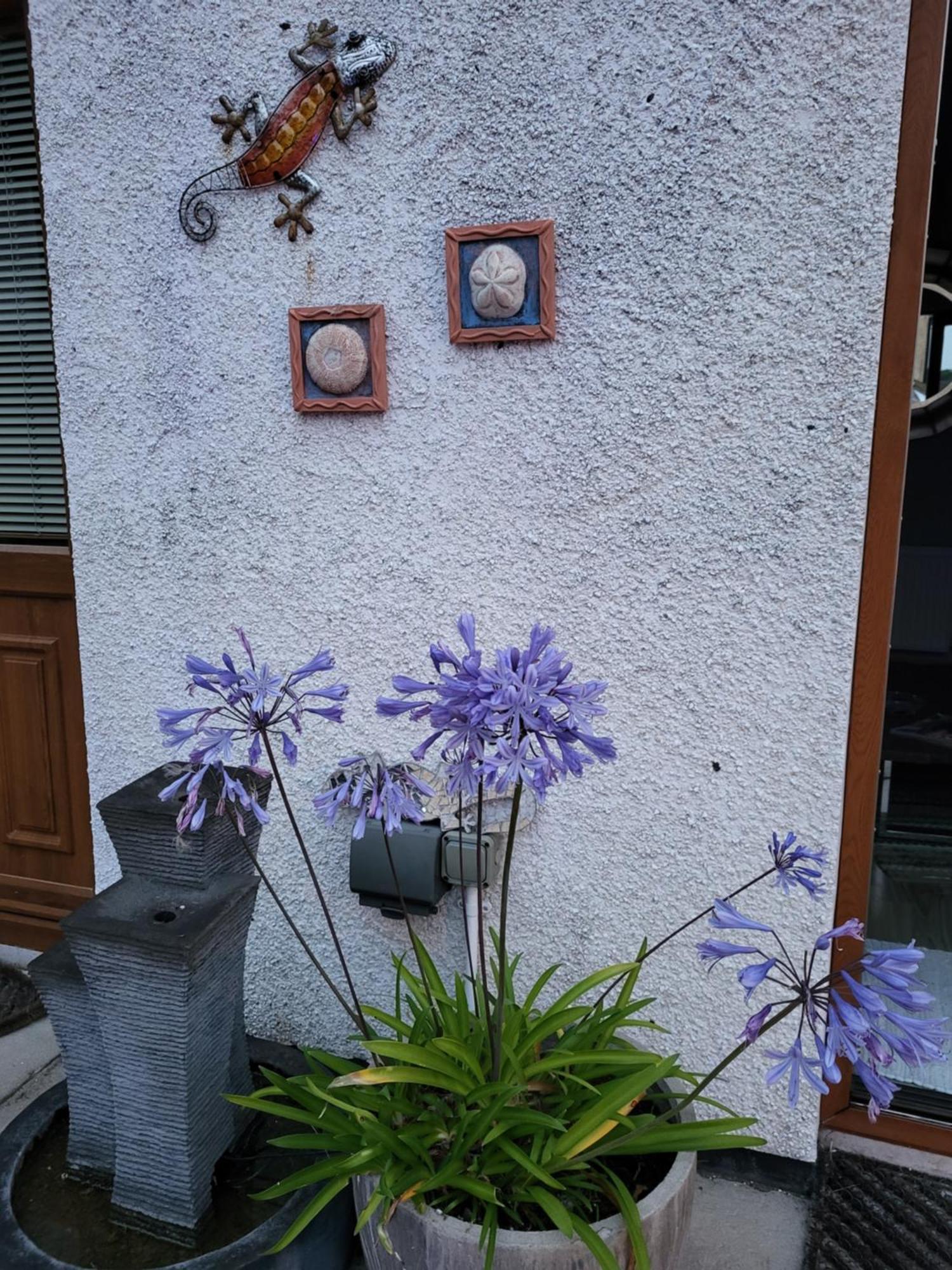 Carlingford Mountain And Sea Views Apartman Kültér fotó